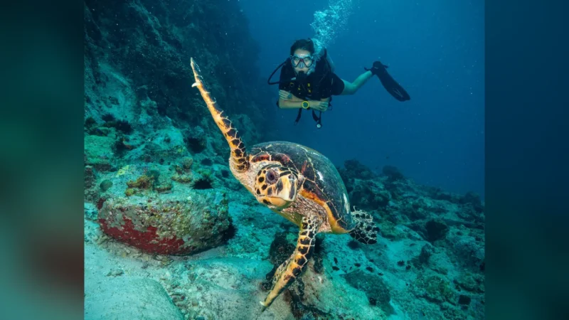 Isla Mujeres lleva su buceo a la feria DEMA Show 2026 en Nueva Orleans