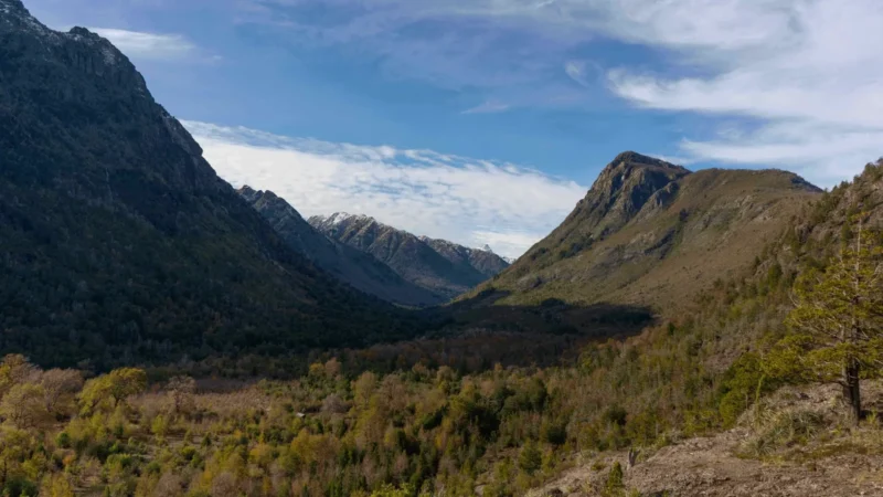 Reserva Nacional Ñuble reactiva su consejo consultivo con foco en turismo y conservación