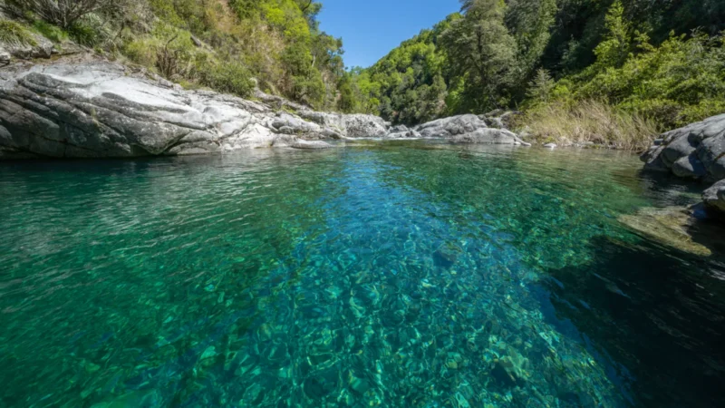 Reserva Los Huemules del Niblinto reabre el 5 de octubre en Ñuble