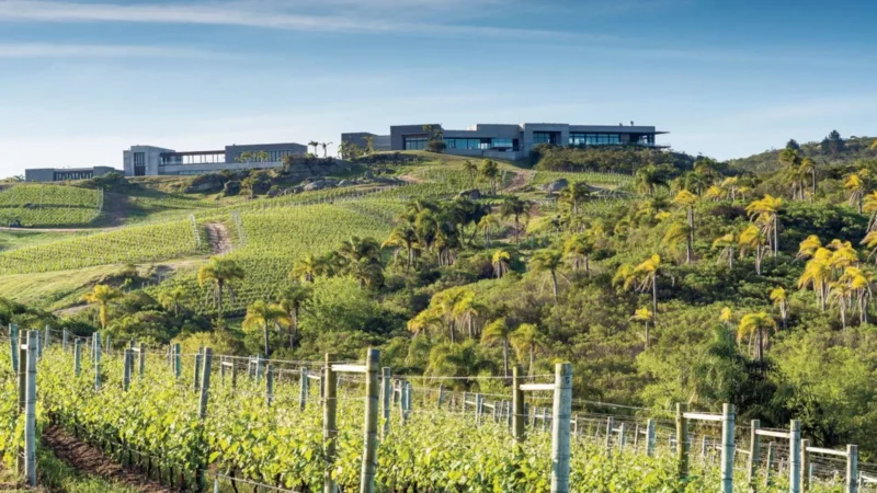 Cultura pop, vino y sierras en el Uruguay de todo el año