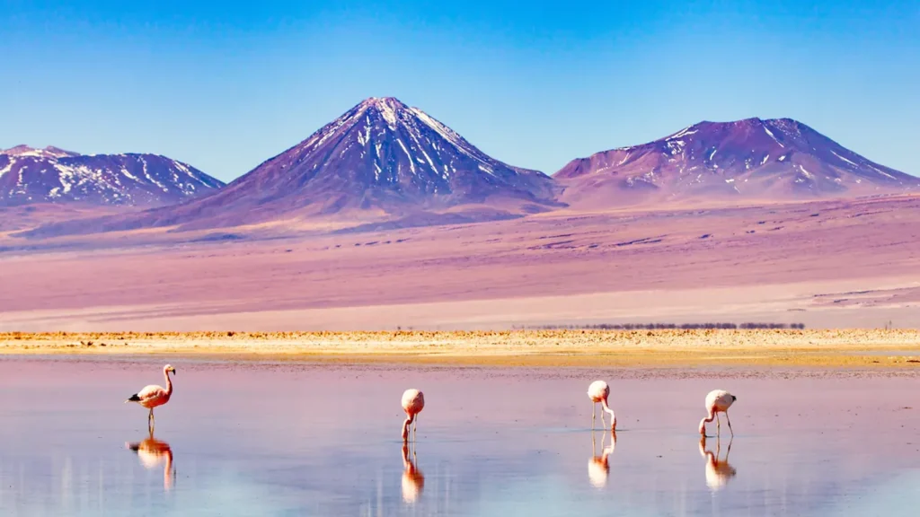 Altiplano: de la Ruta de la Plata al viaje iniciático por lagunas de colores