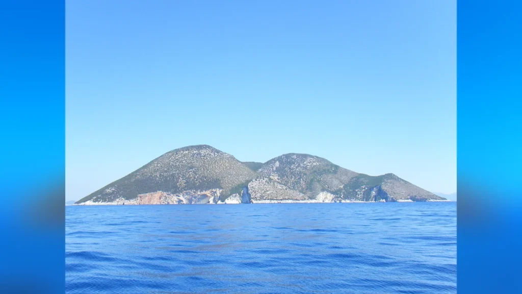 Cerdos nadadores en Grecia: la isla de Atokos, el nuevo fenómeno viral