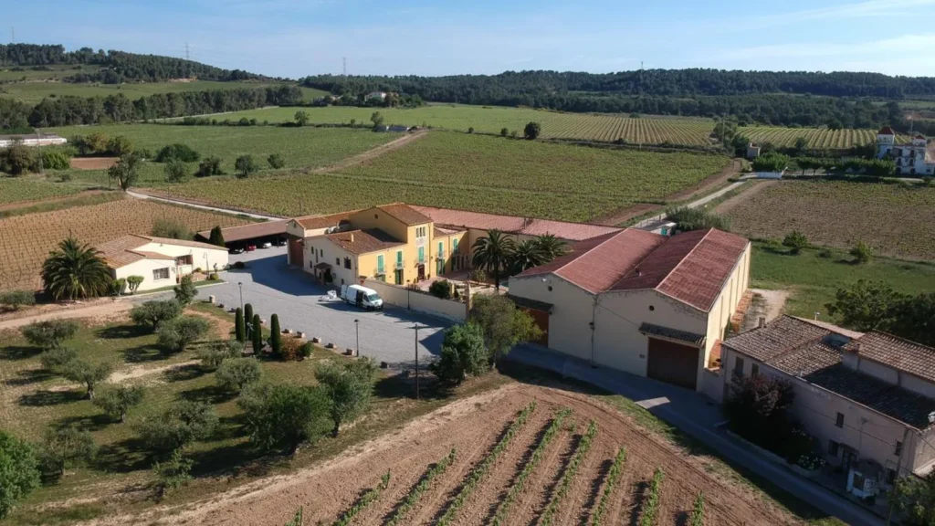 Bodega Parató: 50 vendimias en el Penedès con uva propia