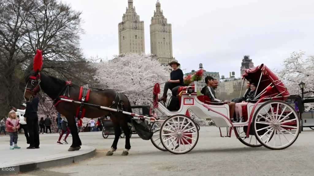 Central Park dice adiós a los carruajes de caballos en 2028