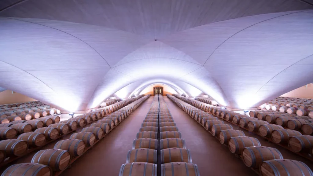La uva berués vuelve a dar vino en Pamplona tras un siglo perdida