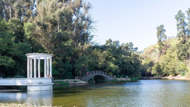 900 árboles nativos llegan al Jardín Botánico de Viña del Mar