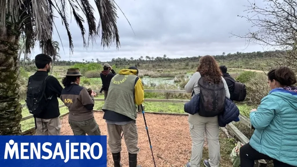 Argentina sumó 757 especies en el Global Big Day 2026 y lanza catálogo de avistamiento