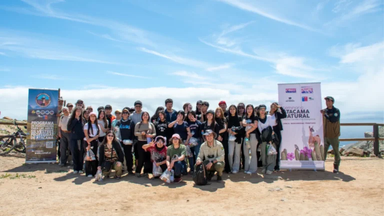 Estudiantes de Atacama aprenden en terreno sobre el desierto florido