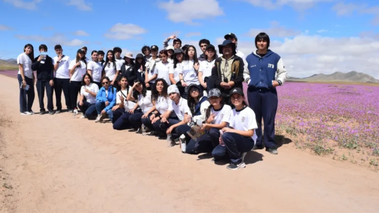 Estudiantes de Atacama se suman a la protección del desierto florido