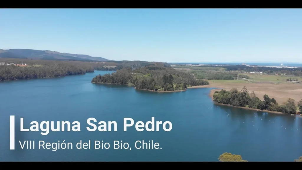 Laguna Grande San Pedro: un tesoro natural en la Región del Biobío