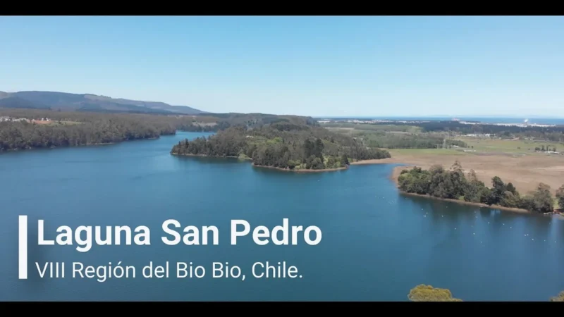 Laguna Grande San Pedro: un tesoro natural en la Región del Biobío
