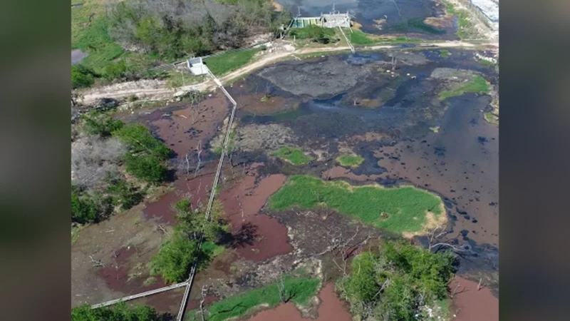 Cenotes de Yucatán en riesgo: contaminación fecal de granjas porcinas
