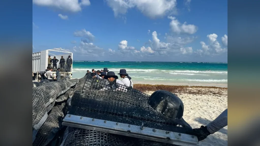 Semar despliega barreras dinámicas contra el sargazo en Tulum y Playa del Carmen