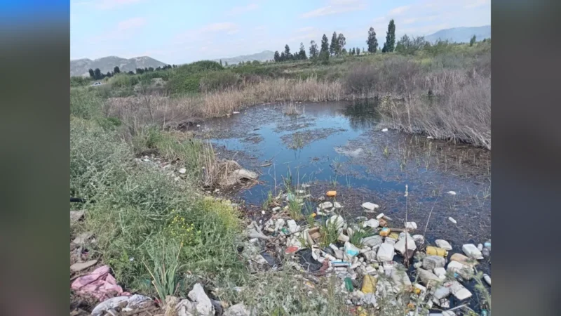 Condena histórica por destrucción de humedal en Chile: multa de $2.100 millones
