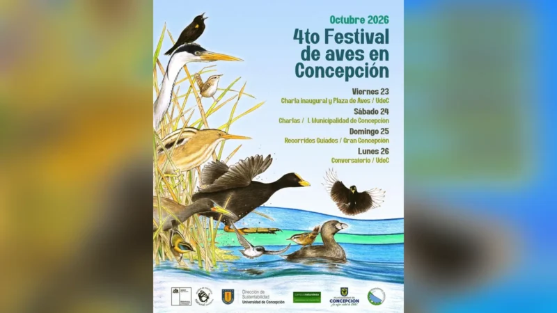 4to Festival de Aves en Concepción