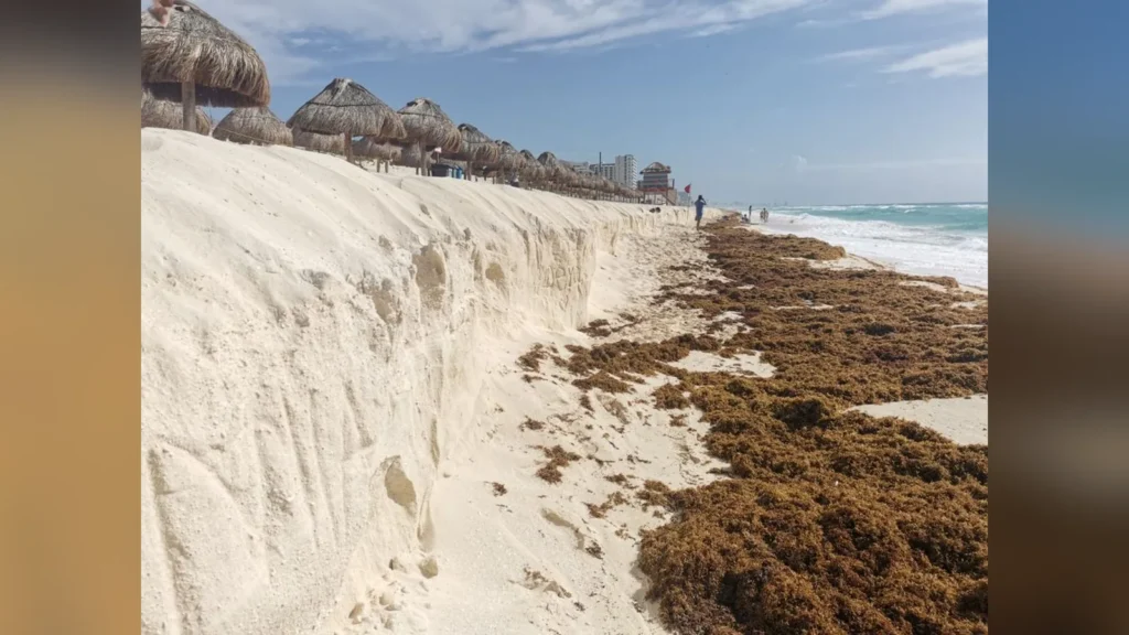 Erosión en Quintana Roo: hasta 14 metros de playa perdidos al año