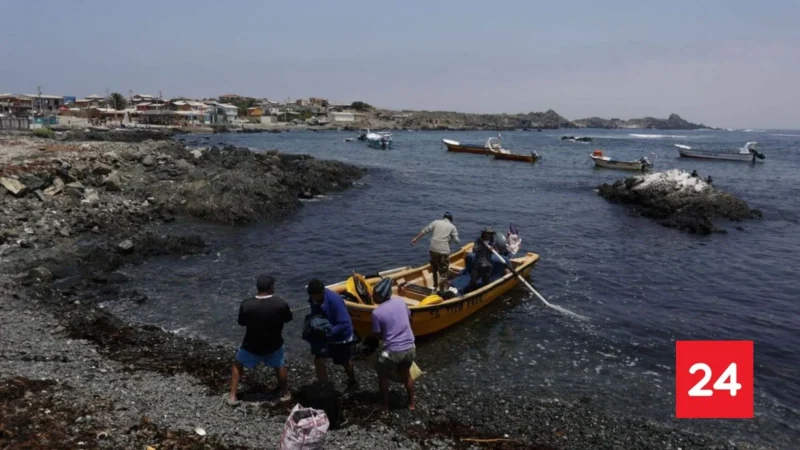 Cierran Bahía Terao en Chonchi por marea roja: prohibida la extracción de mariscos