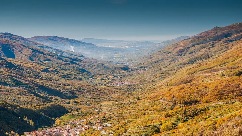 Otoño en la España rural: tres fiestas que conjugan naturaleza y tradición
