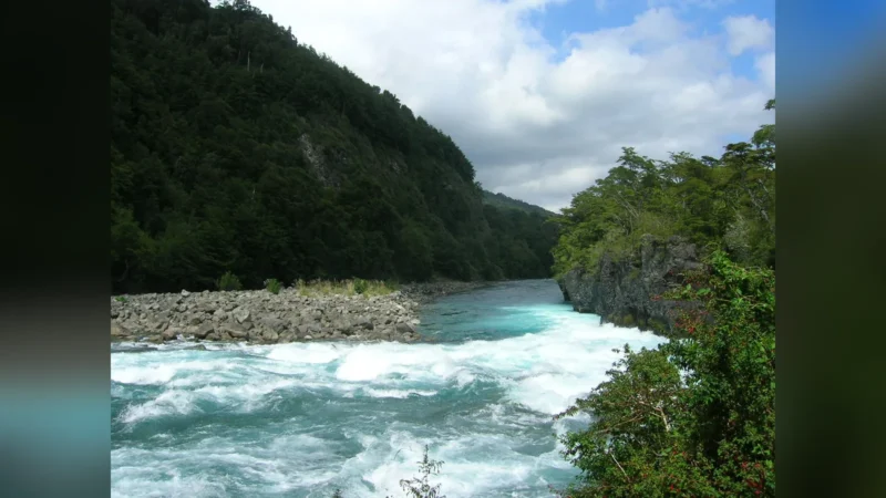 Río Petrohué: dónde queda y cómo llegar a este destino natural