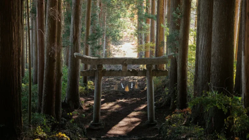 Japomundi: viajes a Japón a medida con anfitrión local