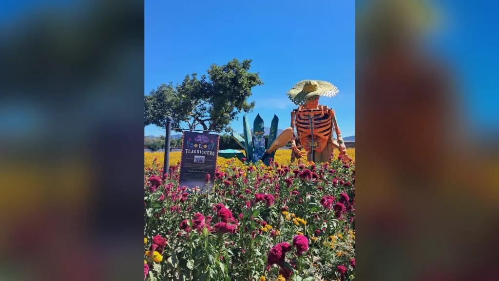 Catrinas prehispánicas y campos de cempasúchil: el Día de Muertos en Atlixco