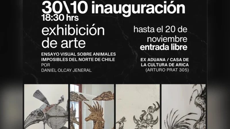 Ensayo visual sobre criaturas imposibles del norte de Chile por Daniel Olcay Jeneral