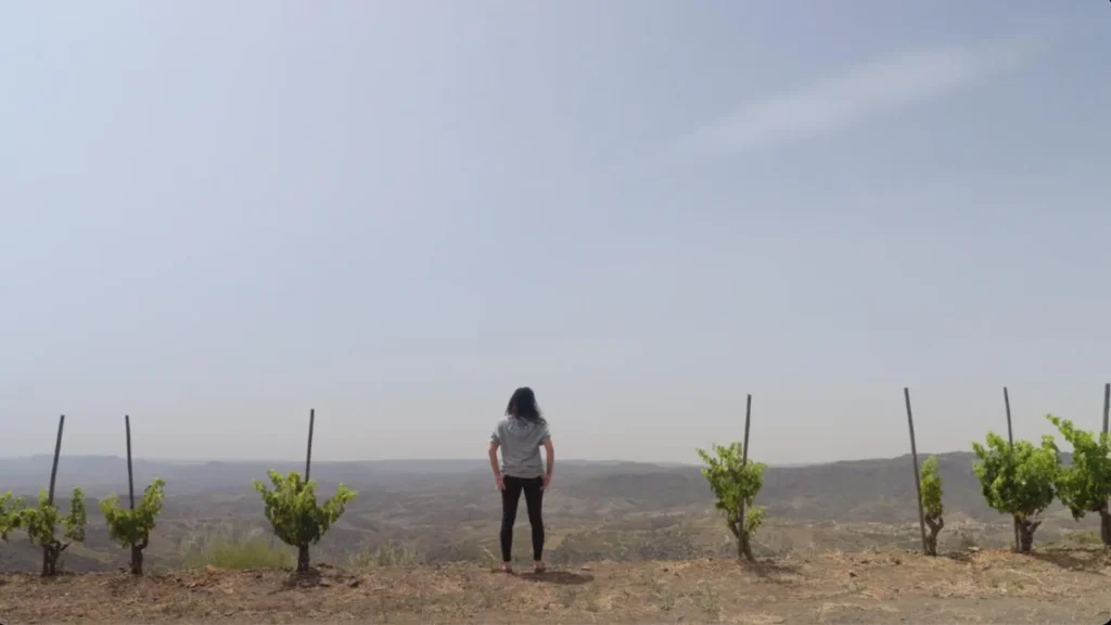 Festival Most 2026: dos semanas de cine y vino en Catalunya